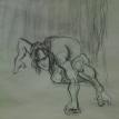 Tarzan